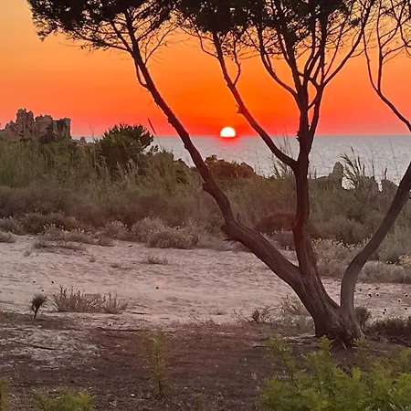 펜션 L'oleandro 1412 House In Sardinia With Mediterranean Views *